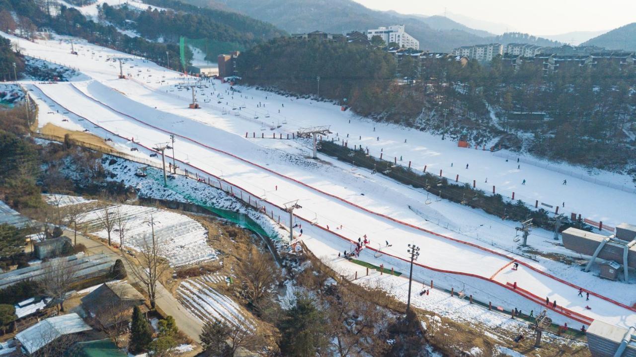 Bears Town Otel Pocheon Dış mekan fotoğraf