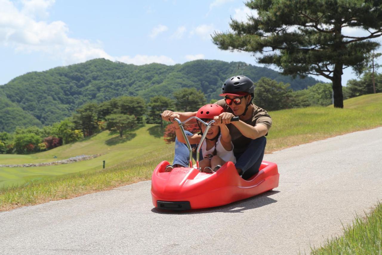 Bears Town Otel Pocheon Dış mekan fotoğraf