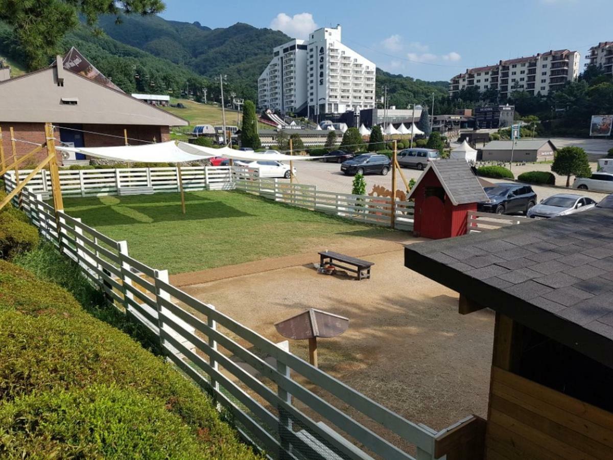 Bears Town Otel Pocheon Dış mekan fotoğraf