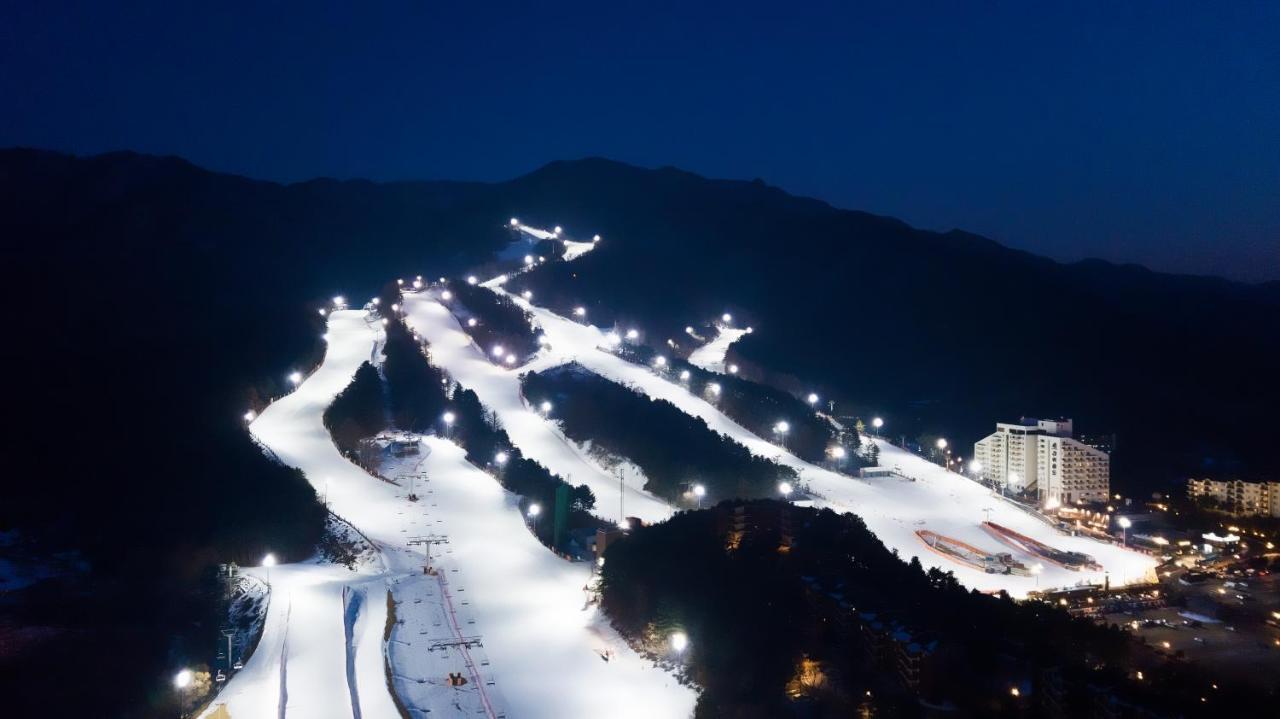 Bears Town Otel Pocheon Dış mekan fotoğraf